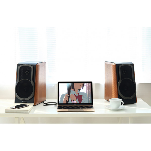 Кабель AUX Audio TRS - RCAx2 M/M 1.0м UGREEN AV102 Чорний