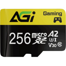 Memory card microSDXC 256Gb AGI Supreme TF138 (C10 UHS I U3 V30 A2) Retail + adapter