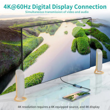 Перехідник USB 3.1 Type-C -> Displayport F 4K 60Hz Choetech cірий