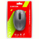 Мышь Bluetooth+Wireless Canyon CNS-CMSW09DG Dark Grey USB