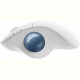 Мышь Bluetooth Logitech Ergo M575 White (910-005870)