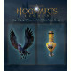 Игра Hogwarts Legacy для Sony PlayStation 4, Blu-ray (5051895413418)