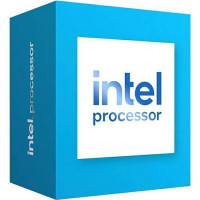 Intel 300 3.9GHz/6MB/300 BOX (LGA1700)